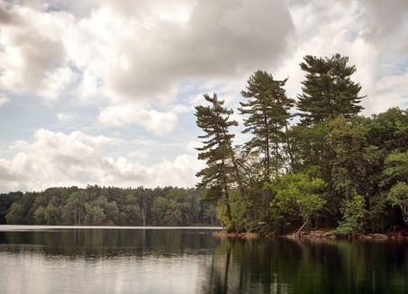 Gallery Thumbnail 45