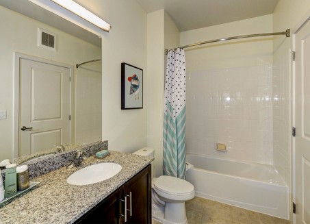 Gallery Thumbnail 14