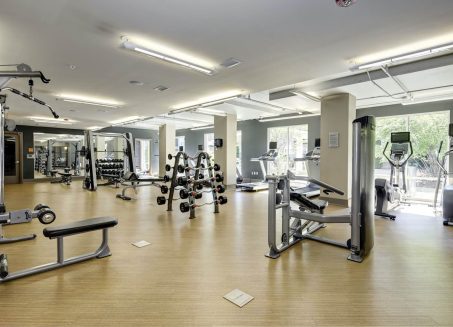 Gallery Thumbnail 26