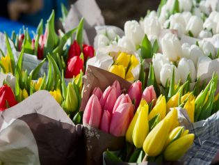 The Kenilworth Farmers Market Reopens Soon