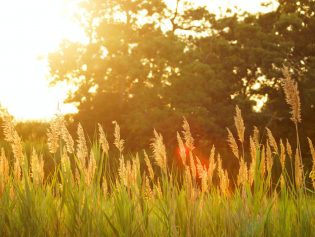 Enjoy the Beauty of Nature at Lake Roland Park