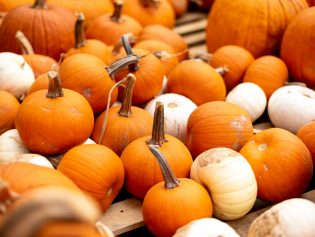 Clever No-Carve Ways to Decorate a Pumpkin